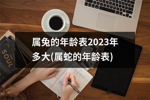 属兔的年龄表2023年多大(属蛇的年龄表)