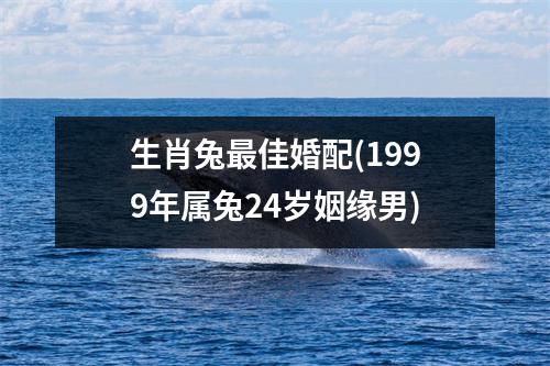 生肖兔佳婚配(1999年属兔24岁姻缘男)