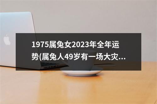 1975属兔女2023年全年运势(属兔人49岁有一场大灾难)