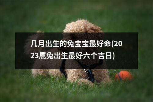 几月出生的兔宝宝好命(2023属兔出生好六个吉日)