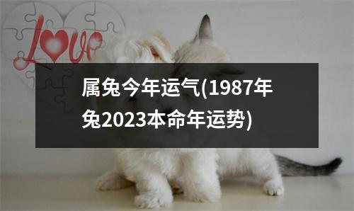 属兔今年运气(1987年兔2023本命年运势)