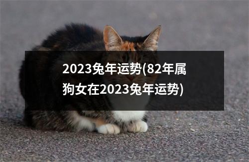 2023兔年运势(82年属狗女在2023兔年运势)