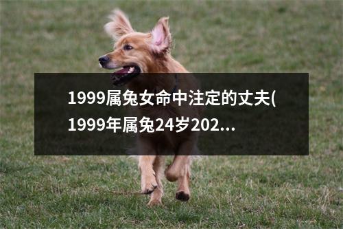 1999属兔女命中注定的丈夫(1999年属兔24岁2023年的运势)