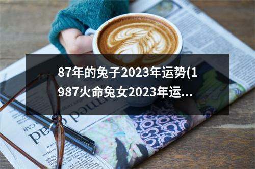 87年的兔子2023年运势(1987火命兔女2023年运势)