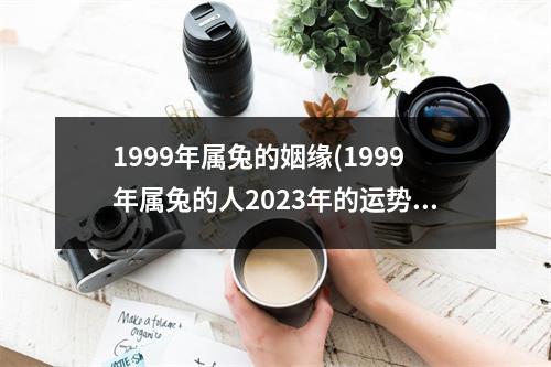 1999年属兔的姻缘(1999年属兔的人2023年的运势及运程)