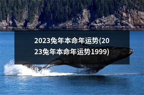 2023兔年本命年运势(2023兔年本命年运势1999)