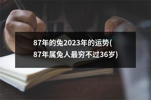 87年的兔2023年的运势(87年属兔人穷不过36岁)