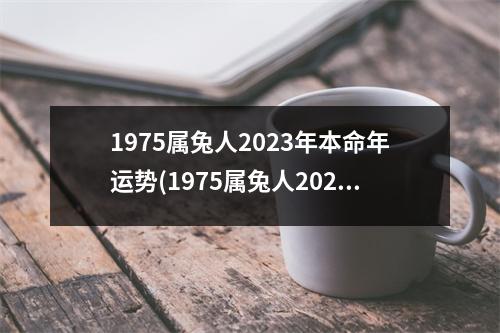 1975属兔人2023年本命年运势(1975属兔人2023年每月运势详解)