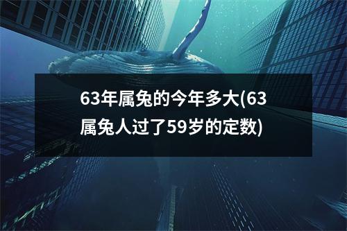 63年属兔的今年多大(63属兔人过了59岁的定数)