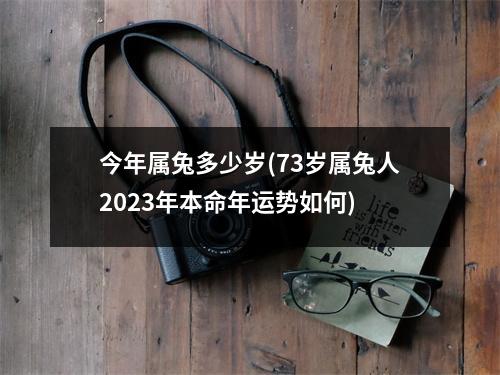 今年属兔多少岁(73岁属兔人2023年本命年运势如何)