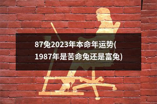 87兔2023年本命年运势(1987年是苦命兔还是富兔)