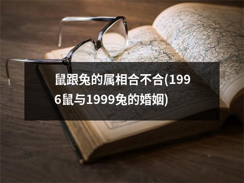 鼠跟兔的属相合不合(1996鼠与1999兔的婚姻)