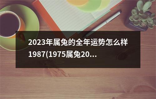 2023年属兔的全年运势怎么样1987(1975属兔2023年49岁以后运气)