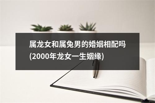 属龙女和属兔男的婚姻相配吗(2000年龙女一生姻缘)