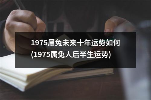 1975属兔未来十年运势如何(1975属兔人后半生运势)