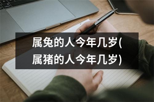 属兔的人今年几岁(属猪的人今年几岁)