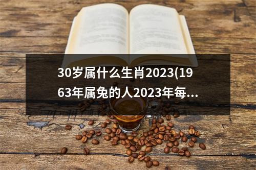 30岁属什么生肖2023(1963年属兔的人2023年每月运势)