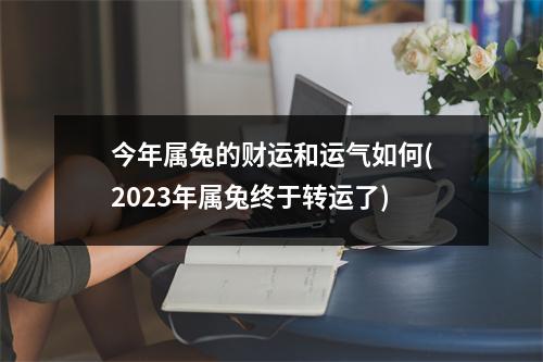 今年属兔的财运和运气如何(2023年属兔终于转运了)