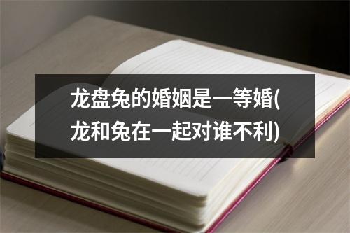 龙盘兔的婚姻是一等婚(龙和兔在一起对谁不利)