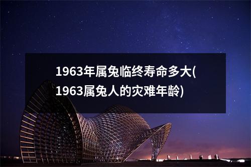 1963年属兔临终寿命多大(1963属兔人的灾难年龄)