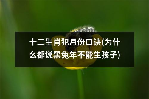 十二生肖犯月份口诀(为什么都说黑兔年不能生孩子)