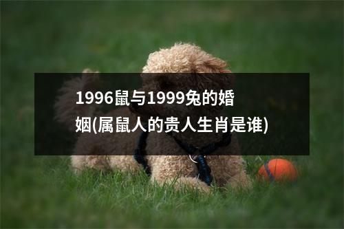 1996鼠与1999兔的婚姻(属鼠人的贵人生肖是谁)