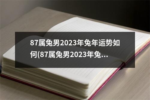 87属兔男2023年兔年运势如何(87属兔男2023年兔年运势如何微信号)