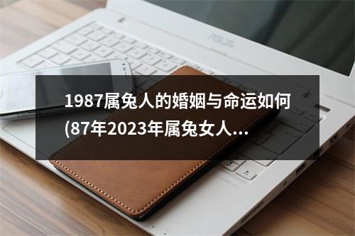 1987属兔人的婚姻与命运如何(87年2023年属兔女人的全年运势)