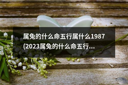 属兔的什么命五行属什么1987(2023属兔的什么命五行属什么)