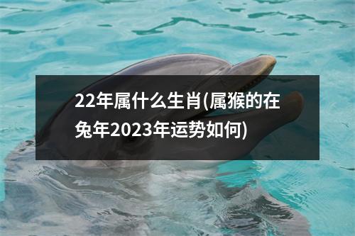 22年属什么生肖(属猴的在兔年2023年运势如何)