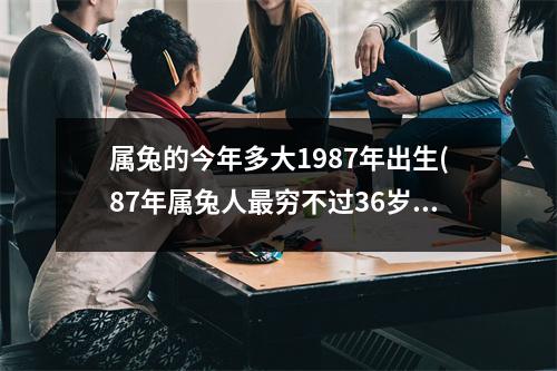 属兔的今年多大1987年出生(87年属兔人穷不过36岁)