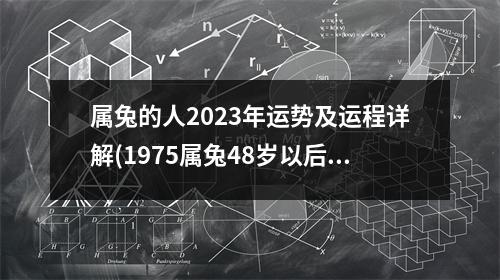 属兔的人2023年运势及运程详解(1975属兔48岁以后运气如何)