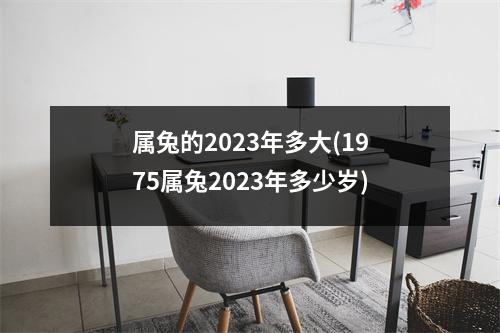 属兔的2023年多大(1975属兔2023年多少岁)