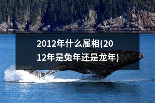 2012年什么属相(2012年是兔年还是龙年)