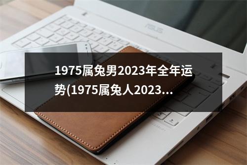 1975属兔男2023年全年运势(1975属兔人2023年每月运势详解)