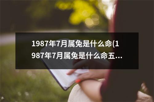 1987年7月属兔是什么命(1987年7月属兔是什么命五行缺什么)