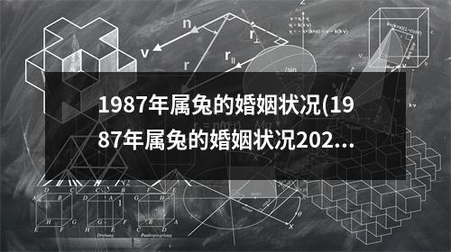 1987年属兔的婚姻状况(1987年属兔的婚姻状况2023)