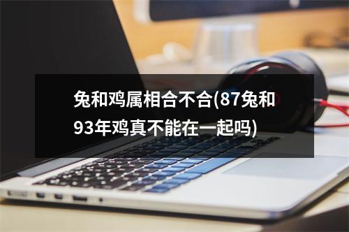 兔和鸡属相合不合(87兔和93年鸡真不能在一起吗)