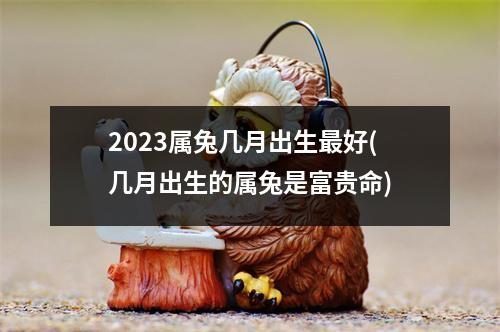 2023属兔几月出生好(几月出生的属兔是富贵命)