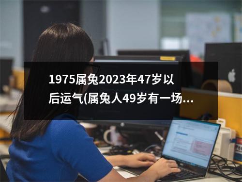 1975属兔2023年47岁以后运气(属兔人49岁有一场大灾难)