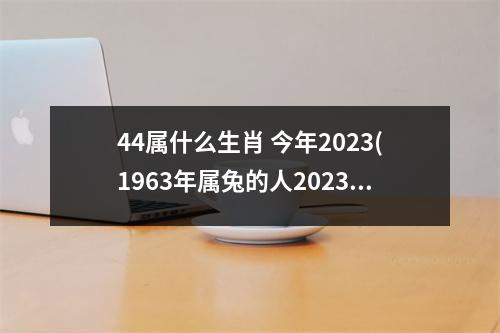 44属什么生肖 今年2023(1963年属兔的人2023年运势)