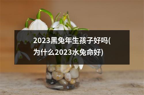 2023黑兔年生孩子好吗(为什么2023水兔命好)