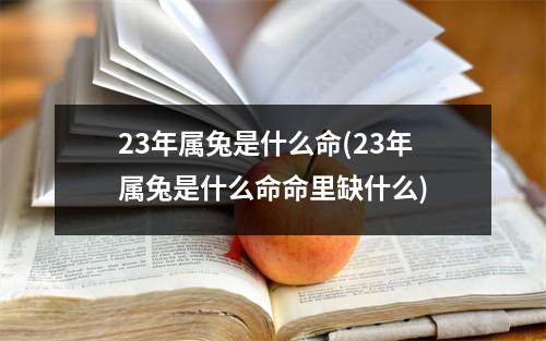 23年属兔是什么命(23年属兔是什么命命里缺什么)