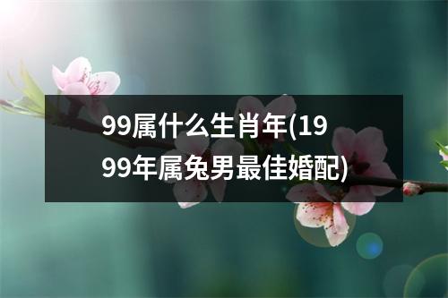 99属什么生肖年(1999年属兔男佳婚配)