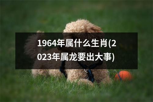 1964年属什么生肖(2023年属龙要出大事)