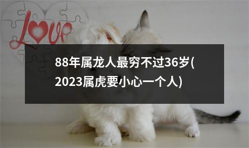 88年属龙人穷不过36岁(2023属虎要小心一个人)