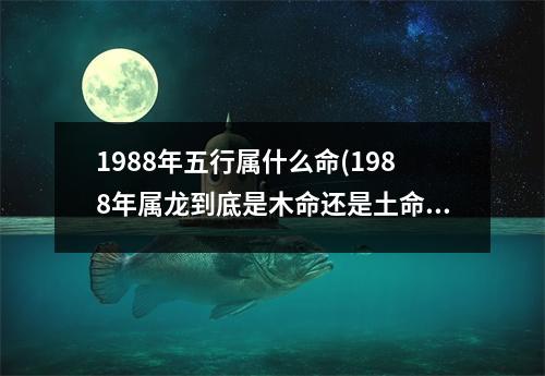 1988年五行属什么命(1988年属龙到底是木命还是土命)