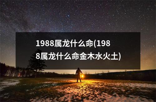 1988属龙什么命(1988属龙什么命金木水火土)