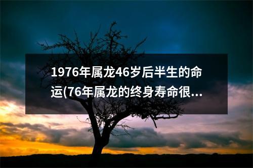 1976年属龙46岁后半生的命运(76年属龙的终身寿命很短暂吗)