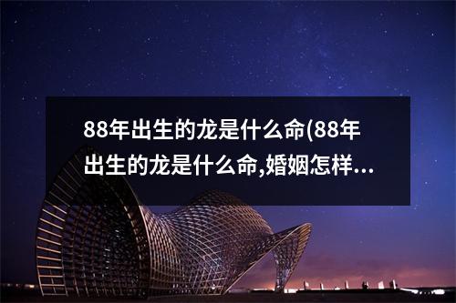 88年出生的龙是什么命(88年出生的龙是什么命,婚姻怎样)